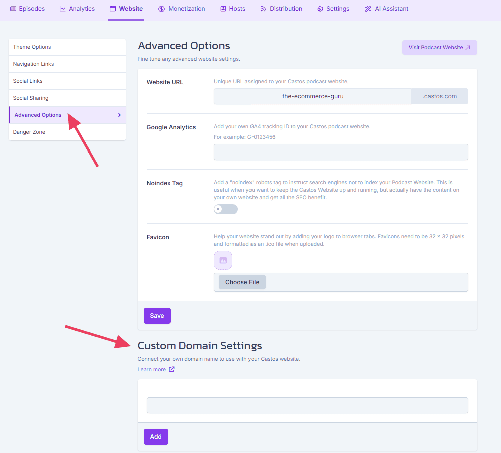 castos website domain settings