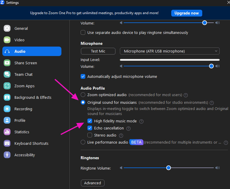 Audio Profile options