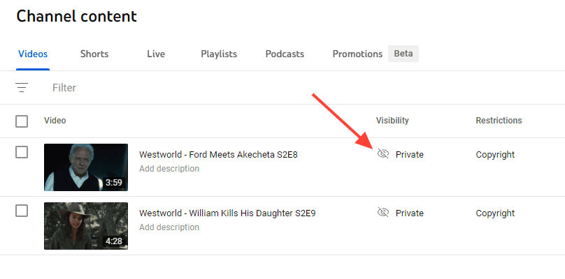 Make a YouTube Channel Private: Select the "Private" Link